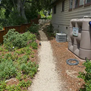 Home Demonstration Garden Renovation, view 30, looking north along path west of Cottage