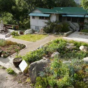 Home Demonstration Garden Renovation, view 35, overview of display from southeast