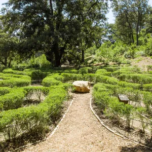 Centennial Maze