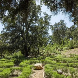 Centennial Maze