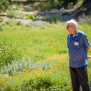 Cultivating the Wild: Native Gardens Tour and 90th Birthday Celebration, Pat Connelly