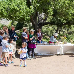Cultivating the Wild: Native Gardens Tour and 90th Birthday Celebration
