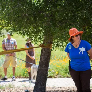 Cultivating the Wild: Native Gardens Tour and 90th Birthday Celebration, Betsy Collins