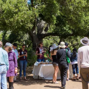 Cultivating the Wild: Native Gardens Tour and 90th Birthday Celebration