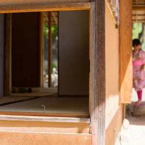 Cultivating the Wild: Native Gardens Tour and 90th Birthday Celebration, Teahouse