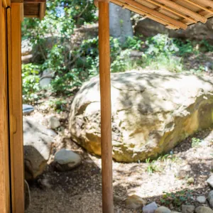 Cultivating the Wild: Native Gardens Tour and 90th Birthday Celebration, Teahouse