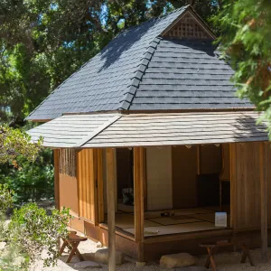 Cultivating the Wild: Native Gardens Tour and 90th Birthday Celebration, Teahouse