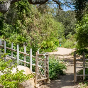 Cultivating the Wild: Native Gardens Tour and 90th Birthday Celebration, Teahouse