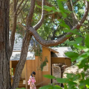 Cultivating the Wild: Native Gardens Tour and 90th Birthday Celebration, Teahouse