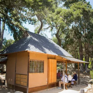 Cultivating the Wild: Native Gardens Tour and 90th Birthday Celebration, Teahouse