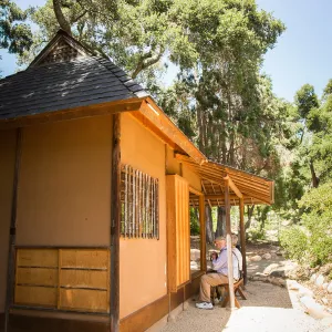 Cultivating the Wild: Native Gardens Tour and 90th Birthday Celebration, Teahouse