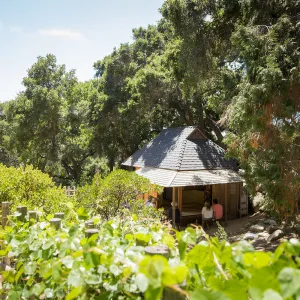 Cultivating the Wild: Native Gardens Tour and 90th Birthday Celebration, Teahouse