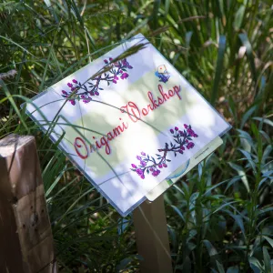 Cultivating the Wild: Native Gardens Tour and 90th Birthday Celebration, origami workshop