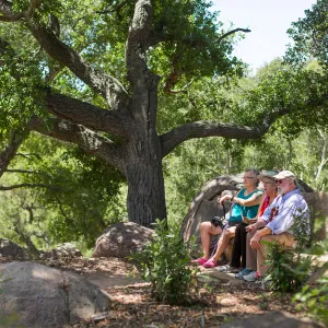 Cultivating the Wild: Native Gardens Tour and 90th Birthday Celebration