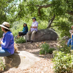 Cultivating the Wild: Native Gardens Tour and 90th Birthday Celebration