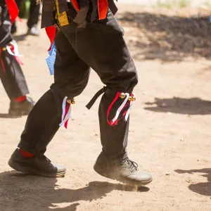 Cultivating the Wild: Native Gardens Tour and 90th Birthday Celebration, Pacific Sword Co. Morris Dancing