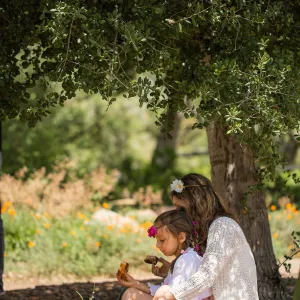 Cultivating the Wild: Native Gardens Tour and 90th Birthday Celebration