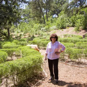 Cultivating the Wild: Native Gardens Tour and 90th Birthday Celebration, Centennial Maze, Lenore Hughes