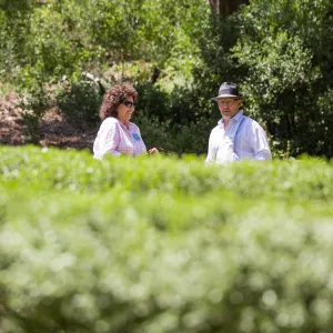 Cultivating the Wild: Native Gardens Tour and 90th Birthday Celebration, Centennial Maze, Lenore Hughes, Steve Windhager