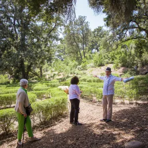Cultivating the Wild: Native Gardens Tour and 90th Birthday Celebration, Centennial Maze