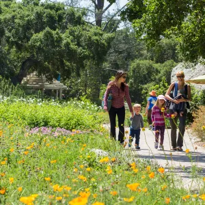 Cultivating the Wild: Native Gardens Tour and 90th Birthday Celebration