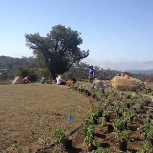 Volunteers and staff planting the new Island View Garden