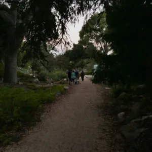Member Appreciation Month, Full Moon Hike, hikers in Arroyo Section