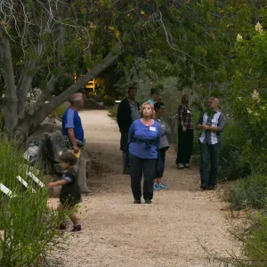 Member Appreciation Month, Full Moon Hike, hikers in Arroyo Section