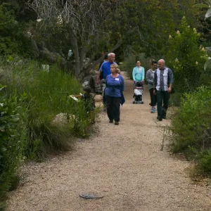 Member Appreciation Month, Full Moon Hike, hikers in Arroyo Section