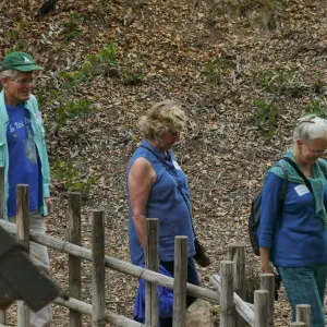 Member Appreciation Month, Full Moon Hike, hikers near Tea House