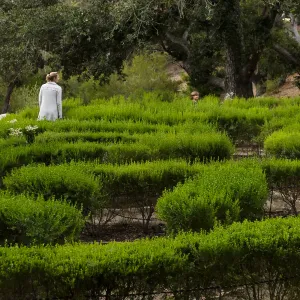 Member Appreciation Month, Full Moon Hike, Centennial Maze