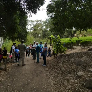 Member Appreciation Month, Full Moon Hike, hikers at Centennial Maze entrance