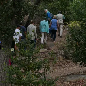 Member Appreciation Month, Full Moon Hike, hikers heading up Pritchett Trail