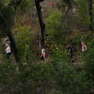 Member Appreciation Month, Full Moon Hike, hikers on Pritchett Trail