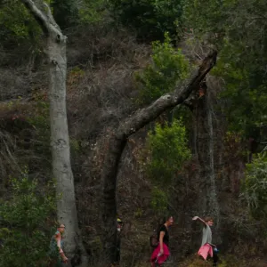 Member Appreciation Month, Full Moon Hike, hikers on Pritchett Trail