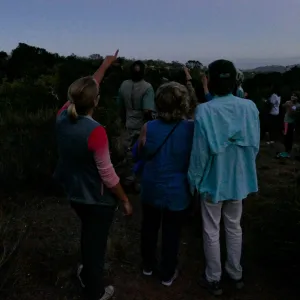Member Appreciation Month, Full Moon Hike, hikers observing the sky at top of Pritchett Trail