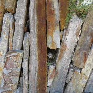 Natural History Museum of Los Angeles, Nature Gardens, Rock Walls