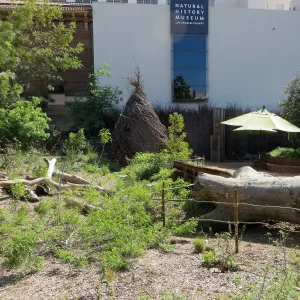 Natural History Museum of Los Angeles, Nature Gardens