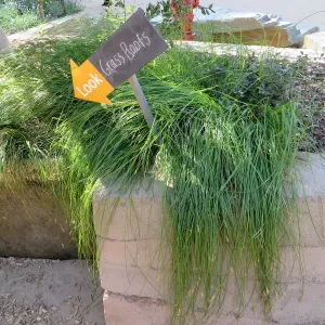 Natural History Museum of Los Angeles, Nature Gardens