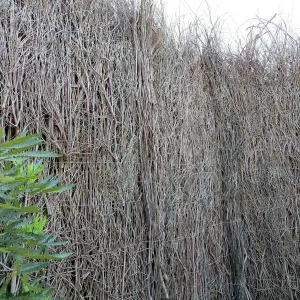 Natural History Museum of Los Angeles, Nature Gardens, Compost Wall