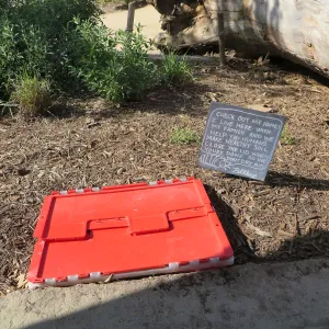 Natural History Museum of Los Angeles, Nature Gardens, Pillbug Composting