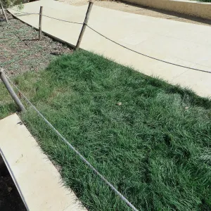 Natural History Museum of Los Angeles, Nature Gardens