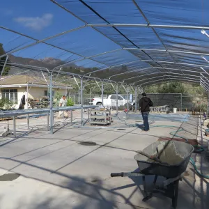 SBBG rebuilding the Hort Unit