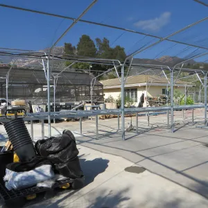 SBBG rebuilding the Hort Unit