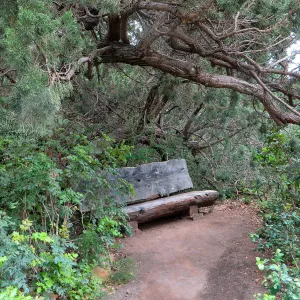 SBBG, Bench at base of Meadow, near old Information Kiosk