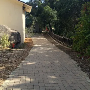 Home Demo Garden