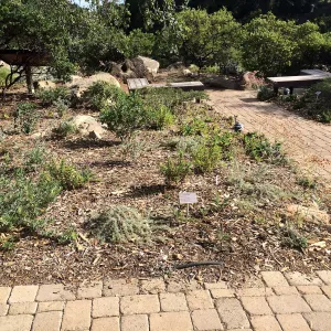 Home Demonstration Garden