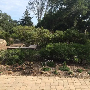 Home Demonstration Garden