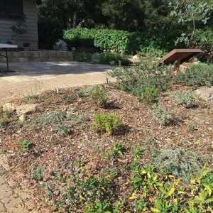Home Demonstration Garden