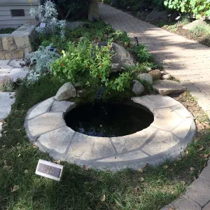 Home Demonstration Garden